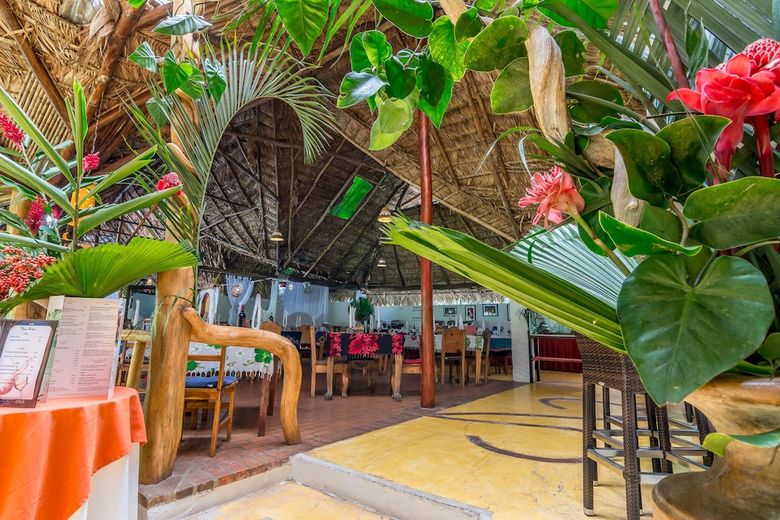 Hotel Cariblue Beach And Jungle Resort