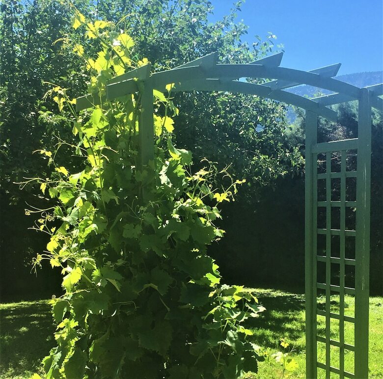 Bed & Breakfast Bonnes Saisons