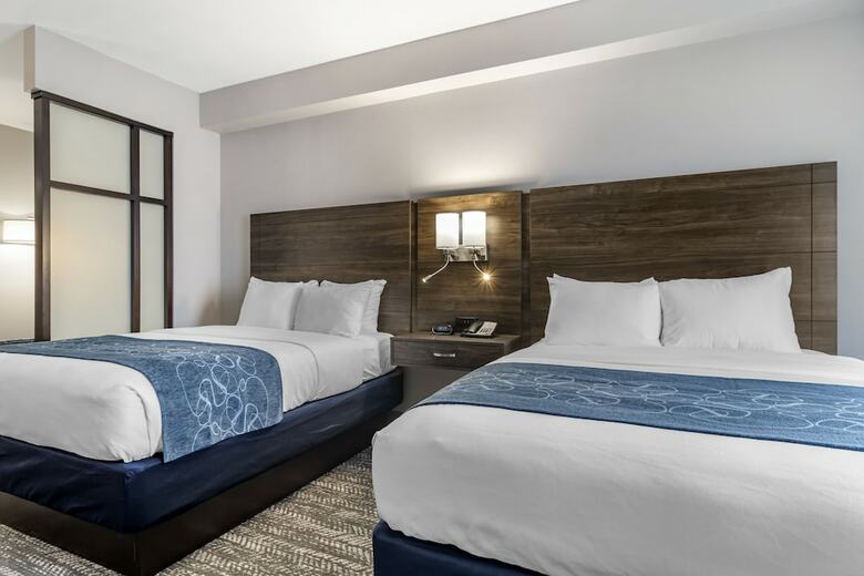 Hotel Comfort Suites Mcdonough Atlanta South