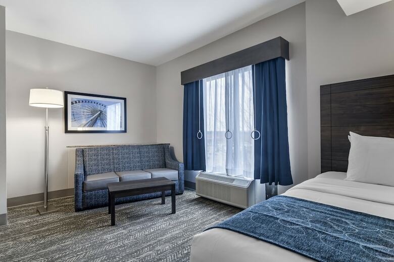 Hotel Comfort Suites Mcdonough Atlanta South