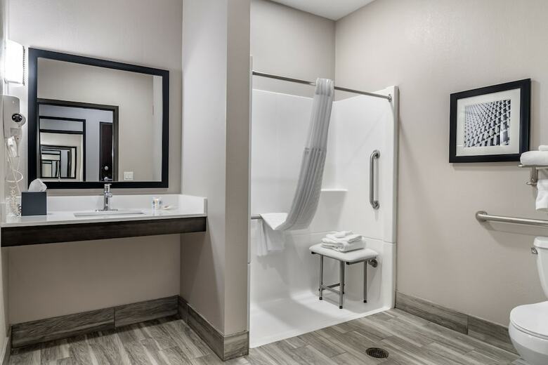Hotel Comfort Suites Mcdonough Atlanta South