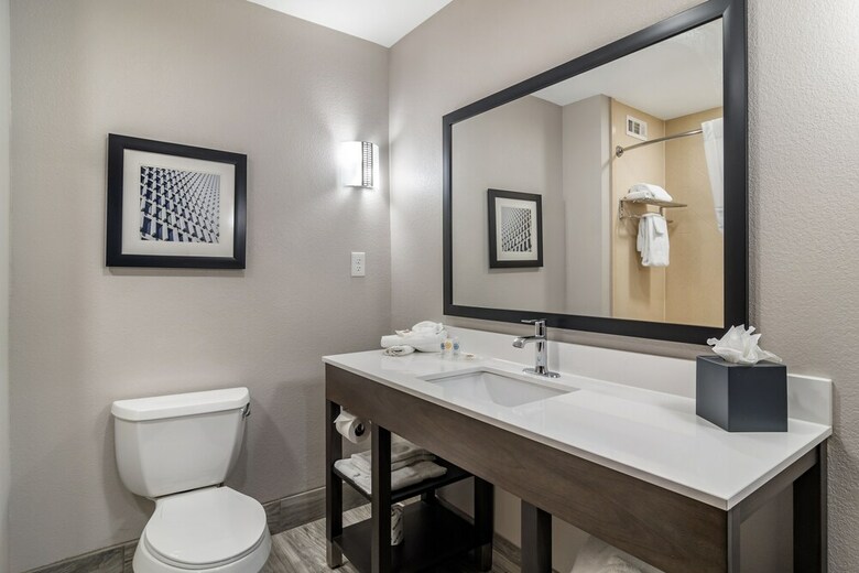 Hotel Comfort Suites Mcdonough Atlanta South