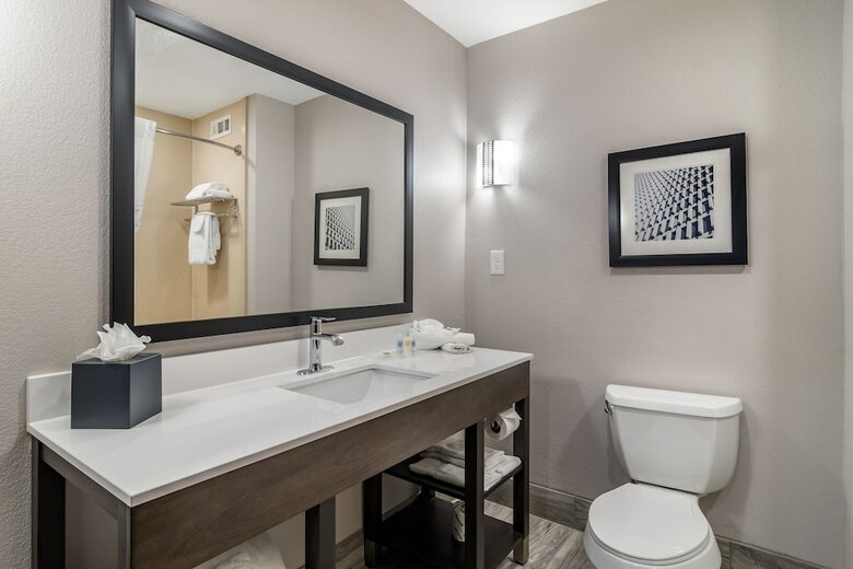 Hotel Comfort Suites Mcdonough Atlanta South
