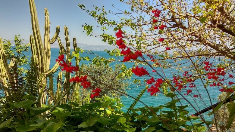 Apartamentos Linamare