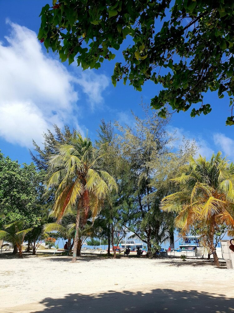 Hotel Hibiscus Holidays