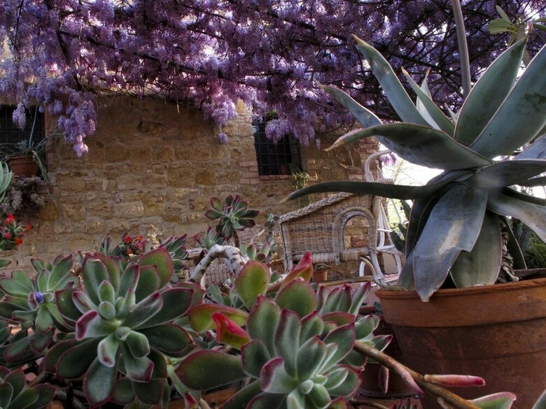Apartamento Il Rosolaccio