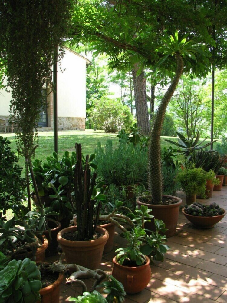 Apartamento Il Rosolaccio