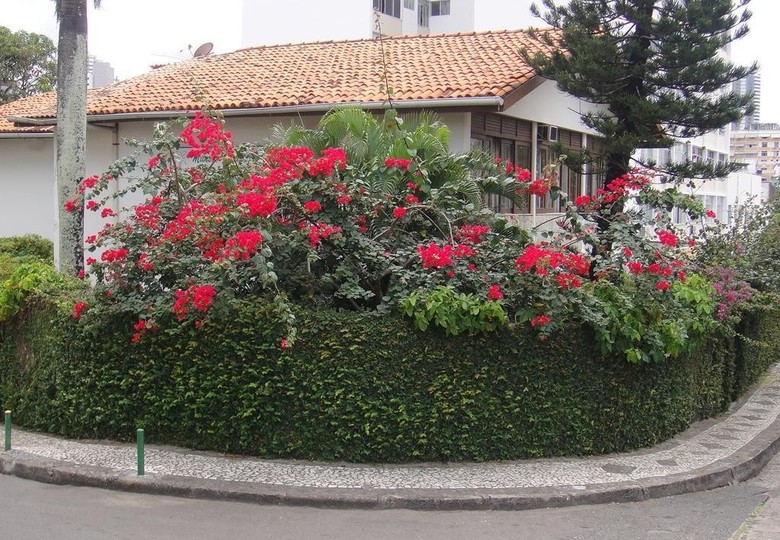 Hostal Mans�o Villaverde