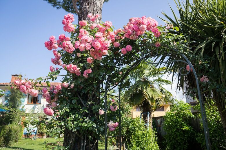 B&B Due Passi Dal Mare