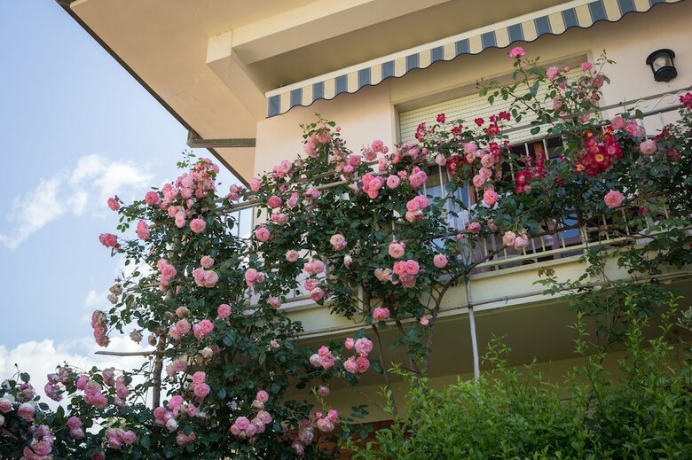 B&B Due Passi Dal Mare