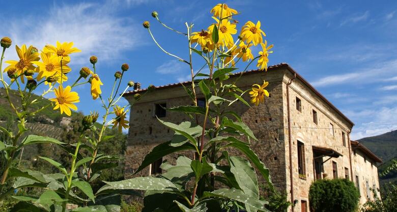 Agroturismo Agriturismo Al Palazzaccio