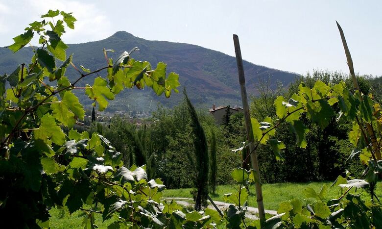 Agroturismo Agriturismo Al Palazzaccio