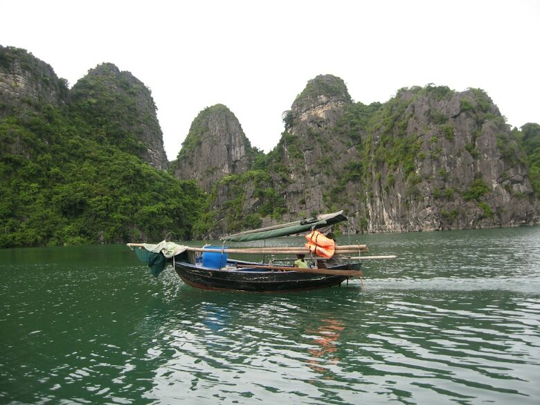 White Dolphin Cruise
