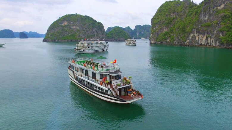White Dolphin Cruise