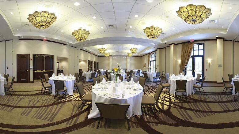 Hotel Embassy Suites By Hilton Savannah Airport
