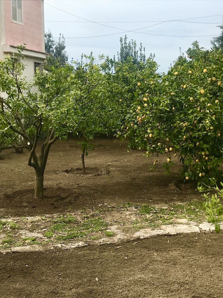 Agroturismo Agriturismo Il Mulino