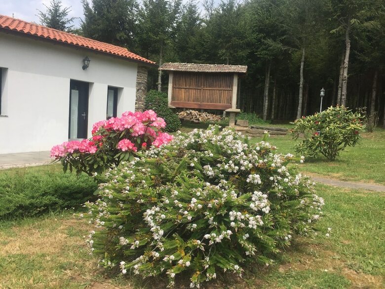 Pension Casa Garea