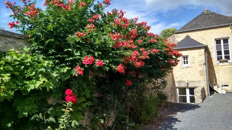 Bed & Breakfast Chambres D'h�tes Domaine Du Hutrel