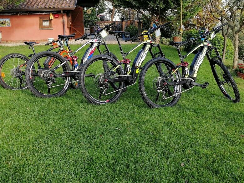 Agroturismo Country House Bosco D'olmi