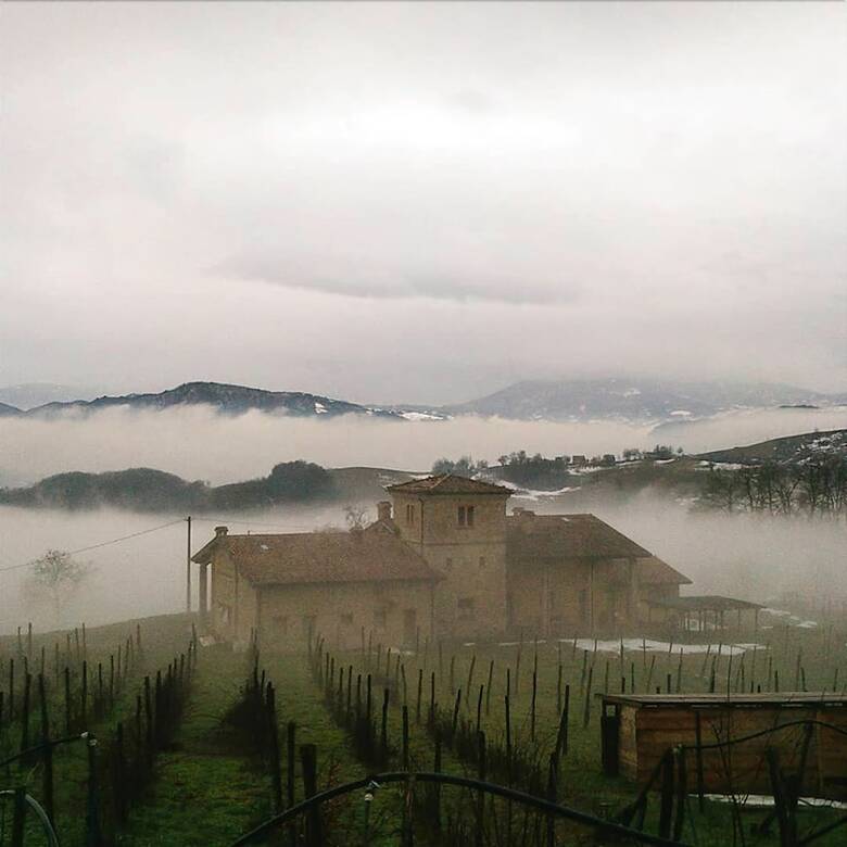 Agroturismo Agriturismo Il Filare