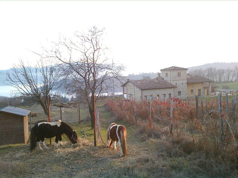 Agroturismo Agriturismo Il Filare
