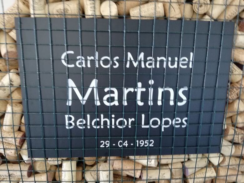 Apartamentos Belch1952