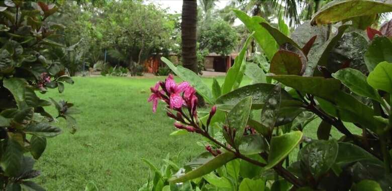 Hotel Mamalla Beach Resort