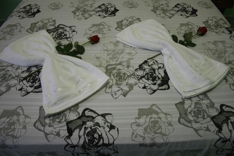 Hostal Villa Tropicale