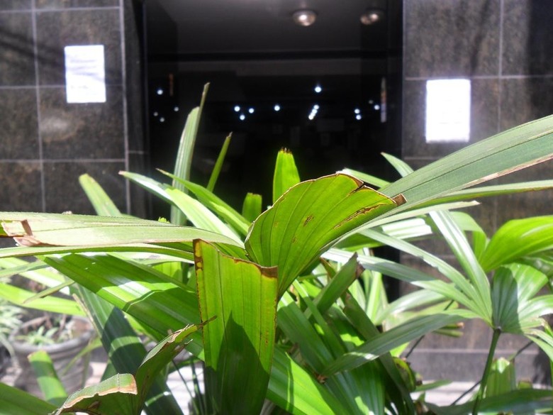Center Plaza Hotel