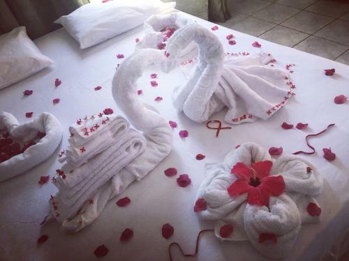 Hostal Pousada Do Holand�s