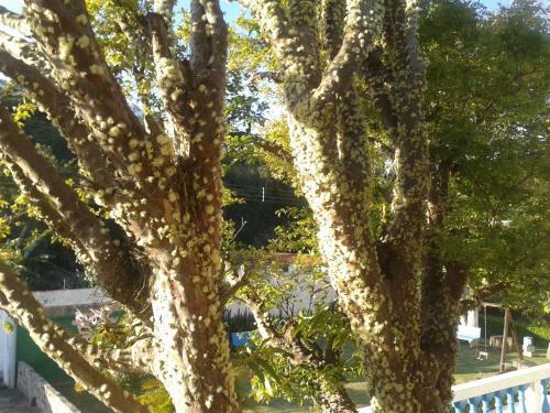 Hostal Pousada Renascen�a