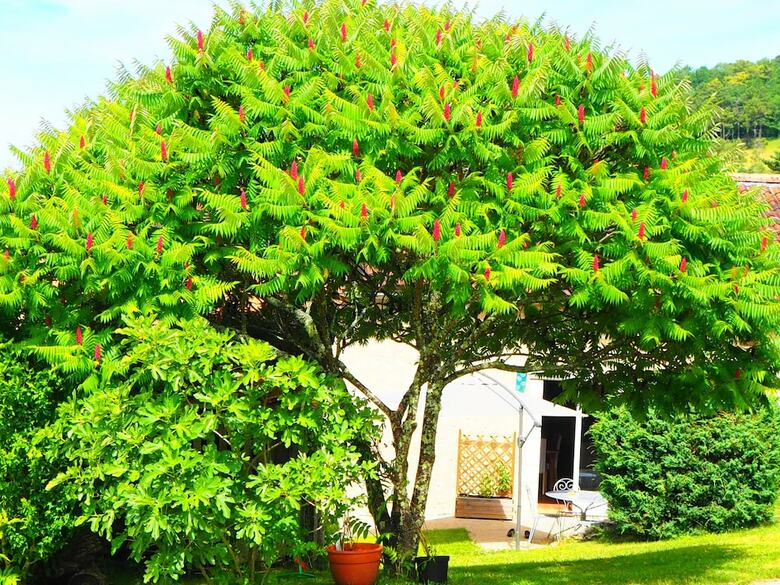 Gite La Belle Verte