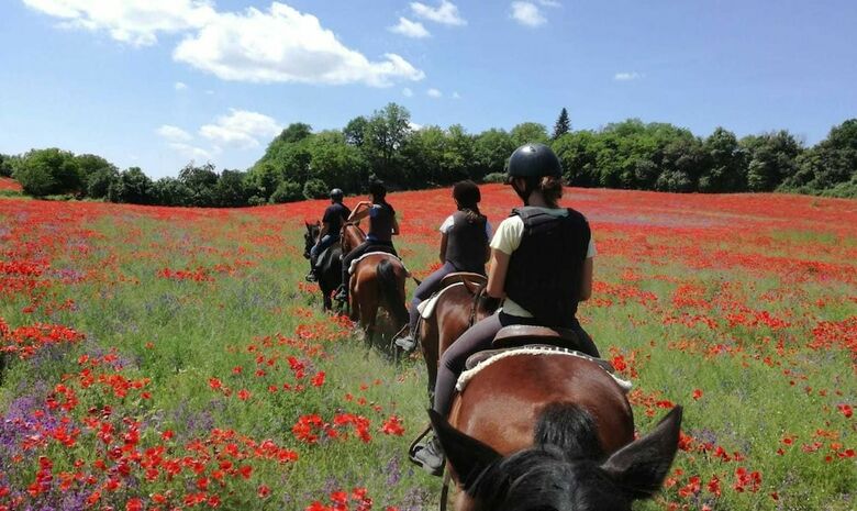 Agroturismo Agriturismo San Filippo