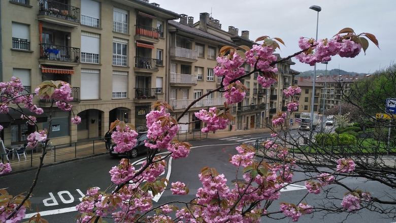 Apartamentos Museum Zarautz