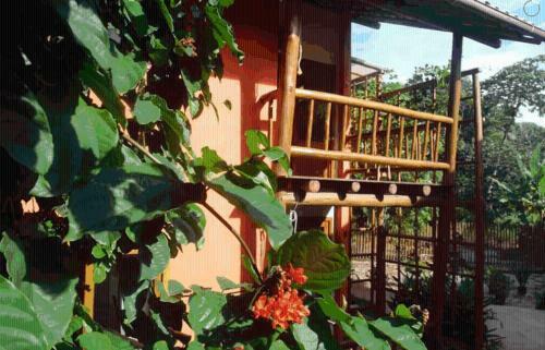 Apartamento Concha Tropical Flat