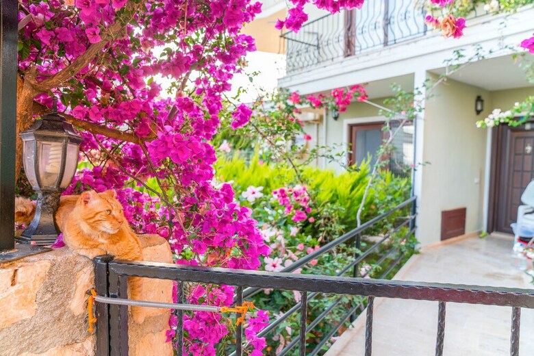 Vena Apartment