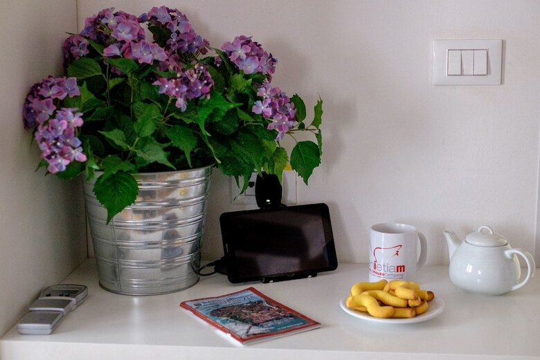Apartamento Lion 5