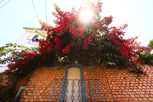 Hostal Hospedaria Magoo