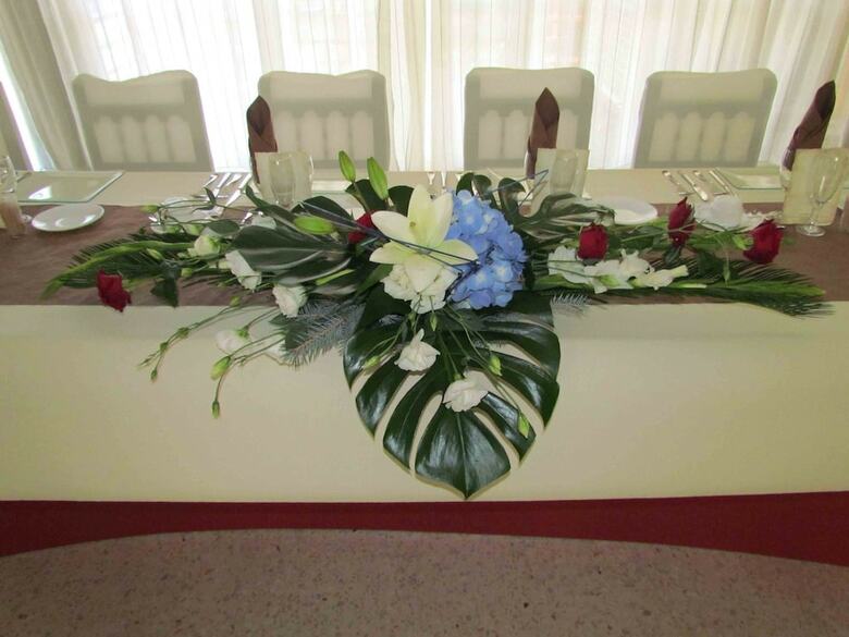 Hotel La Palmera
