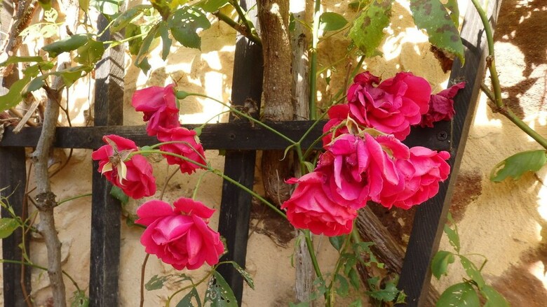 Bouillatou