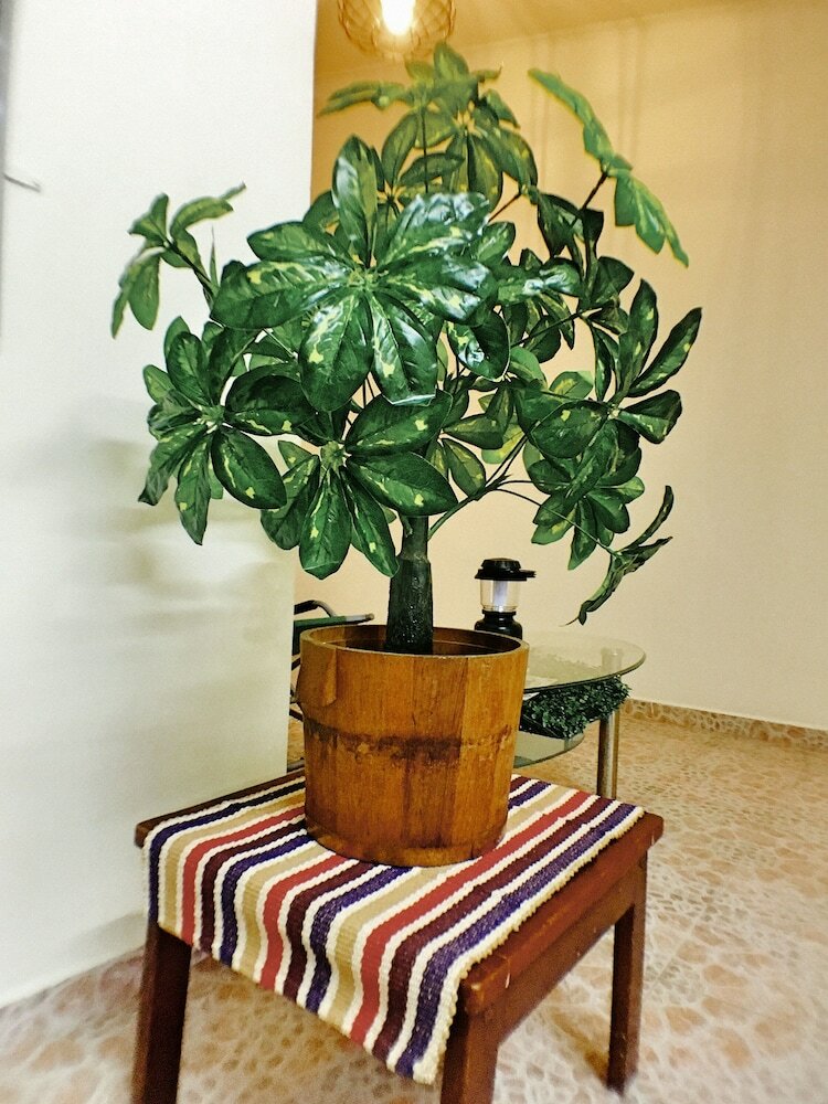 Hotel Lavender Green Home