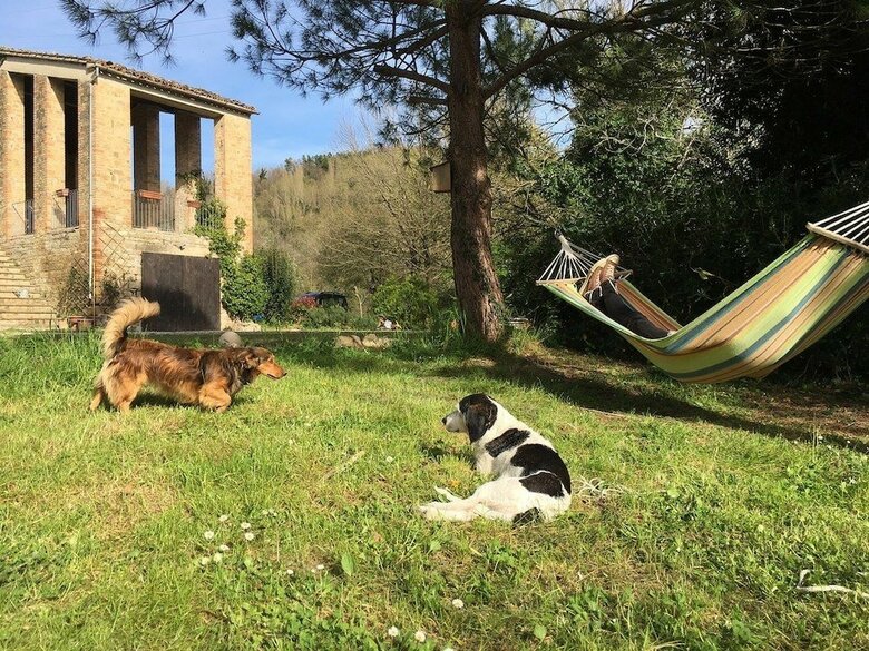 Agroturismo Agriturismo La Distesa