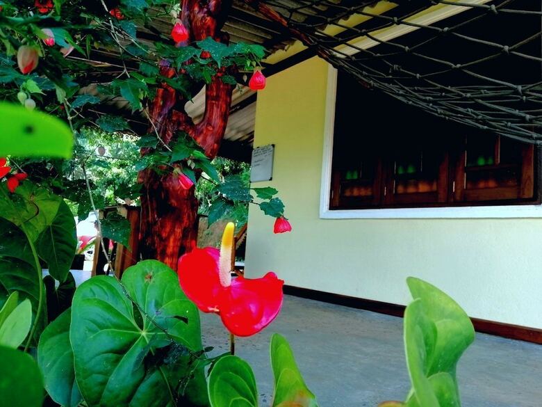 Hotel Ella Wisdom Home