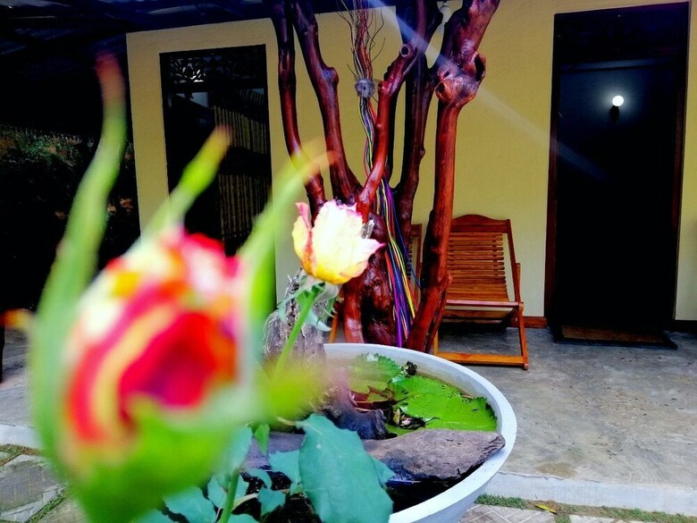 Hotel Ella Wisdom Home