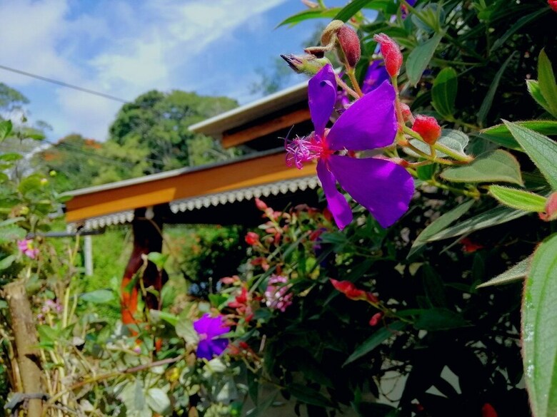 Hotel Ella Wisdom Home