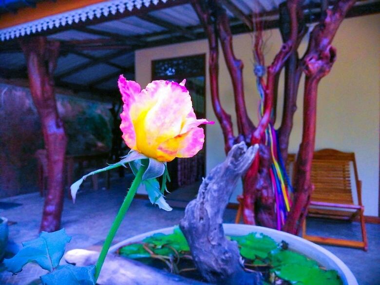 Hotel Ella Wisdom Home