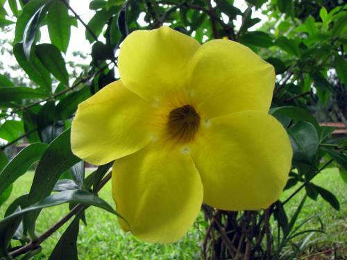 Hostal Ilhabela T�nis Clube