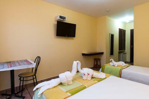 Hotel Ponta Das Toninhas