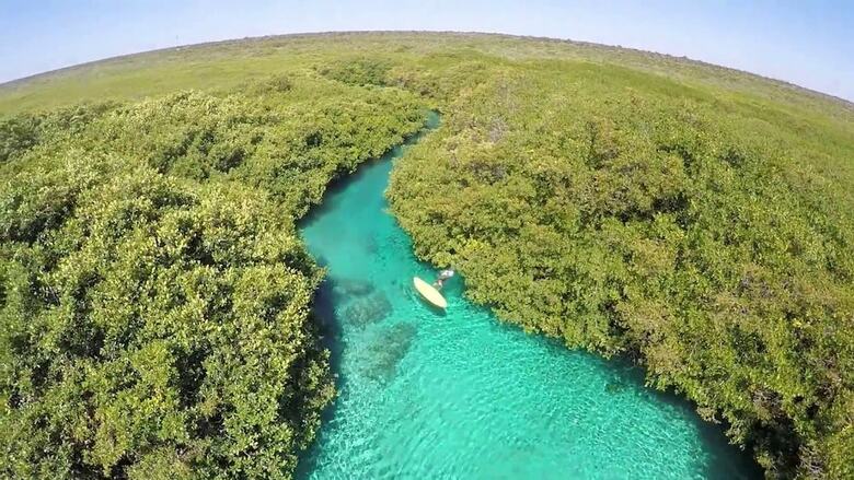 Hotel Alea Tulum By Blue Sky