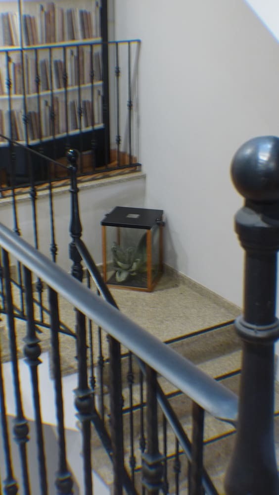 Hotel Roqui�o